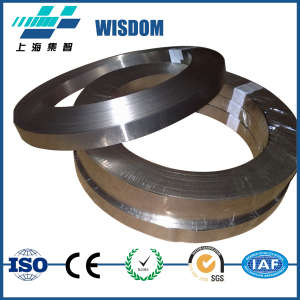 Inconel X-750 Strip